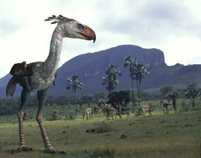 Animalkelenken guillermoi, phororacos longissimus, titanis from smilodon animals Kelenken